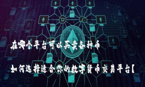在哪个平台可以买卖各种币

如何选择适合你的数字货币交易平台？
