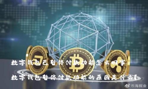 数字钱包已暂停付款功能怎么回事

数字钱包暂停付款功能的原因是什么？