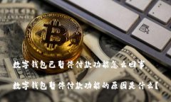 数字钱包已暂停付款功能怎么回事数字钱包暂停