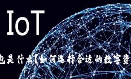 比特盒子钱包是什么？如何选择合适的数字资产管理工具？