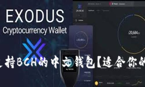 为什么选择支持BCH的中文钱包？适合你的选择有哪些？