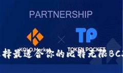 如何选择最适合你的比特无限BCX钱包？