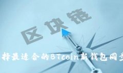 如何选择最适合的BTcoin新钱包同步方式？