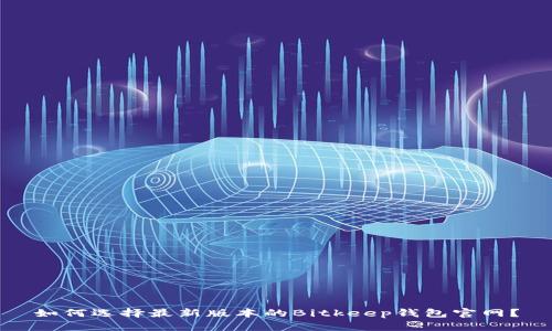 如何选择最新版本的Bitkeep钱包官网？