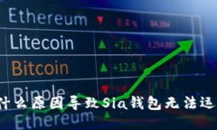 是什么原因导致Sia钱包无法运行？