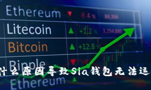 是什么原因导致Sia钱包无法运行？