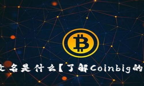 Coinbig中文名是什么？了解Coinbig的背景与特色