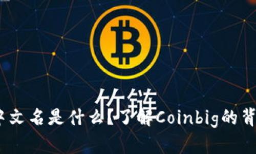 Coinbig中文名是什么？了解Coinbig的背景与特色