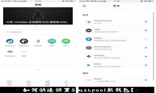 
如何快速设置Slushpool新钱包？