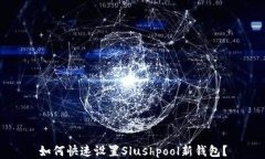 如何快速设置Slushpool新钱包？