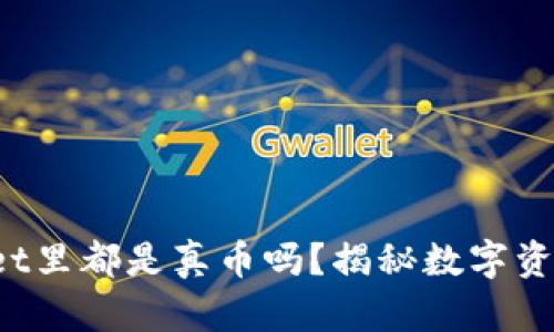 : TPWallet里都是真币吗？揭秘数字资产的真相！