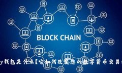 cgpay钱包是什么？它如何改变您的数字货币交易方