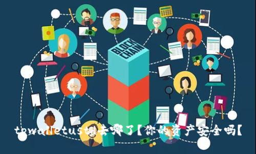 tpwalletustd去哪了？你的资产安全吗？