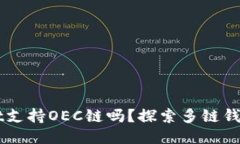 TPWallet支持OEC链吗？探索多链钱包的潜力