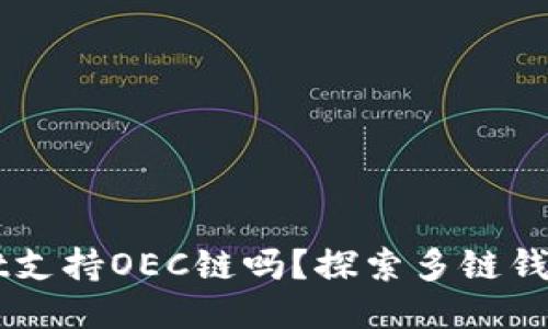 TPWallet支持OEC链吗？探索多链钱包的潜力
