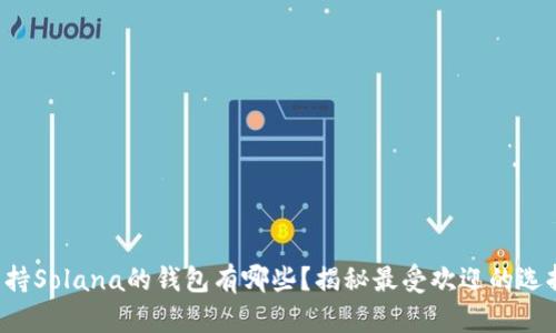 支持Solana的钱包有哪些？揭秘最受欢迎的选择！