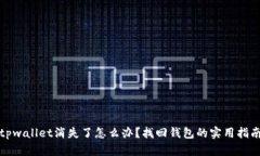 tpwallet消失了怎么办？找回钱包的实用指南