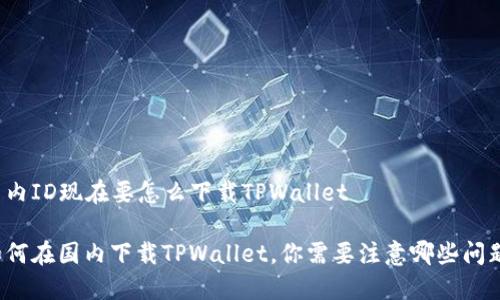 国内ID现在要怎么下载TPWallet

如何在国内下载TPWallet，你需要注意哪些问题？