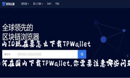 国内ID现在要怎么下载TPWallet

如何在国内下载TPWallet，你需要注意哪些问题？