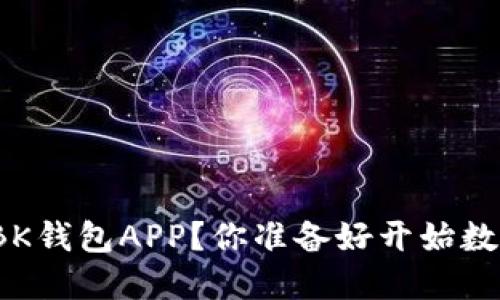 如何下载和使用BK钱包APP？你准备好开始数字资产管理了吗？