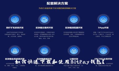 如何快速下载和使用BitPay钱包？