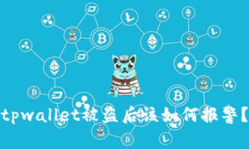 tpwallet被盗后该如何报警？