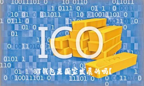 BT钱包是国家发展的吗？