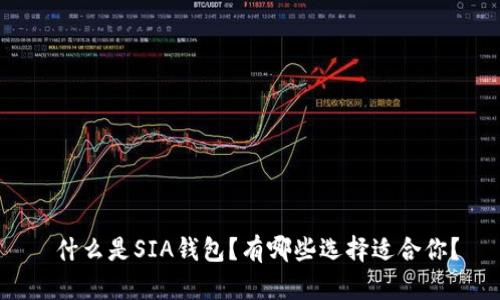  什么是SIA钱包？有哪些选择适合你？