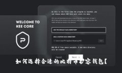 如何选择合适的比特币扩容钱包？