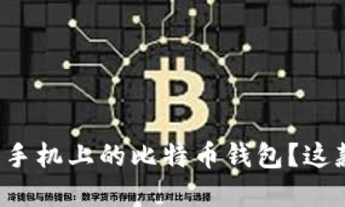 为什么选择苹果手机上的比特币钱包？这款钱包适合你吗？