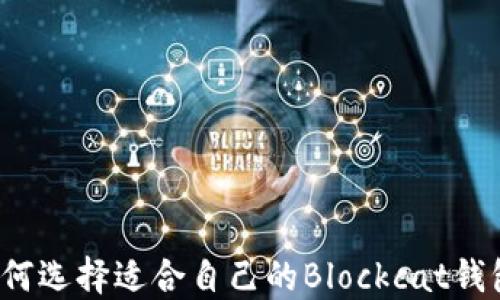 
如何选择适合自己的Blockcat钱包？