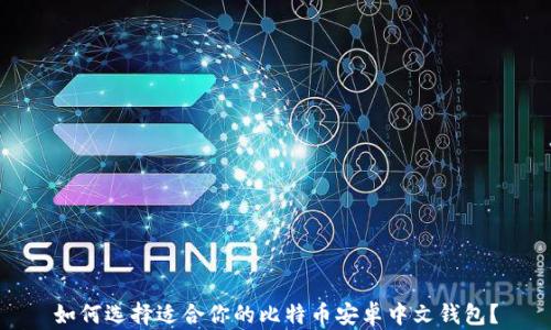 
如何选择适合你的比特币安卓中文钱包？