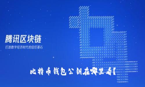 比特币钱包公钥在哪里看？