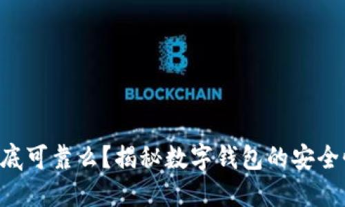 TPWallet到底可靠么？揭秘数字钱包的安全性与易用性！