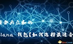 思考一个符合大众和的什么是 Solana 钱包？如何选