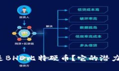 什么是BHD比特硬币？它的潜力如何？