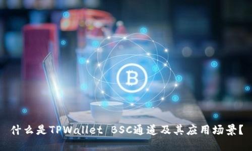 什么是TPWallet BSC通道及其应用场景？
