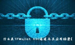 什么是TPWallet BSC通道及其应用场景？