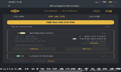 TPWallet是什么？它的潜在风险和常见套路有哪些？