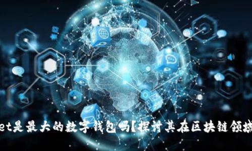 TPWallet是最大的数字钱包吗？探讨其在区块链领域的地位