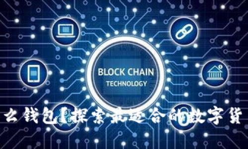 CFX币用什么钱包？探索最适合的数字货币钱包选择