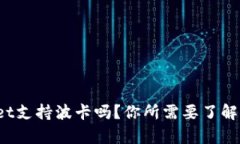 tpwallet支持波卡吗？你所需要了解的真相！