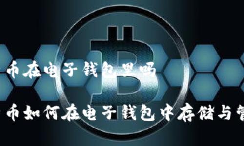 比特币在电子钱包里吗

比特币如何在电子钱包中存储与管理？