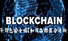 区块链电子钱包安全吗？如何选择最合适的电子