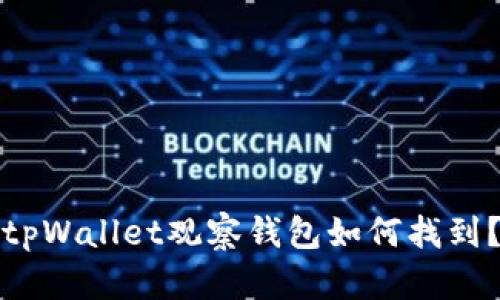 tpWallet观察钱包如何找到？