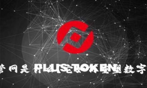 tpwallet管网是什么？它如何重塑数字资产管理？