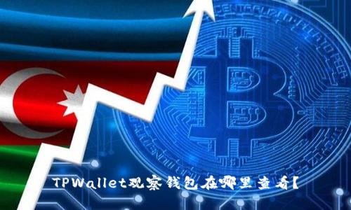 TPWallet观察钱包在哪里查看？