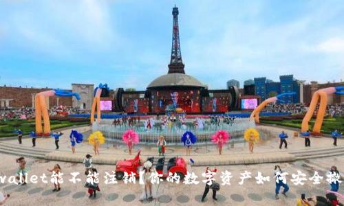 tpwallet能不能注销？你的数字资产如何安全撤离？