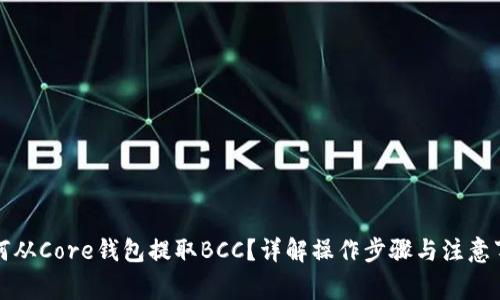 如何从Core钱包提取BCC？详解操作步骤与注意事项