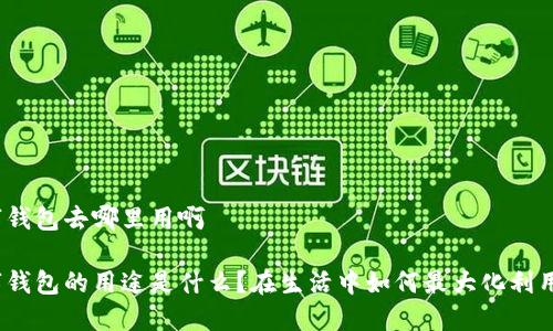 数字钱包去哪里用啊

数字钱包的用途是什么？在生活中如何最大化利用它？